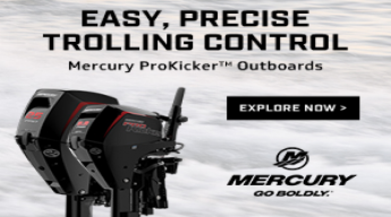 We sell MERCURY Outboards!